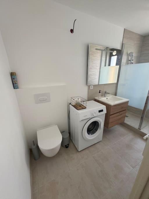 Appartement Centre Historique Narbona Zewnętrze zdjęcie